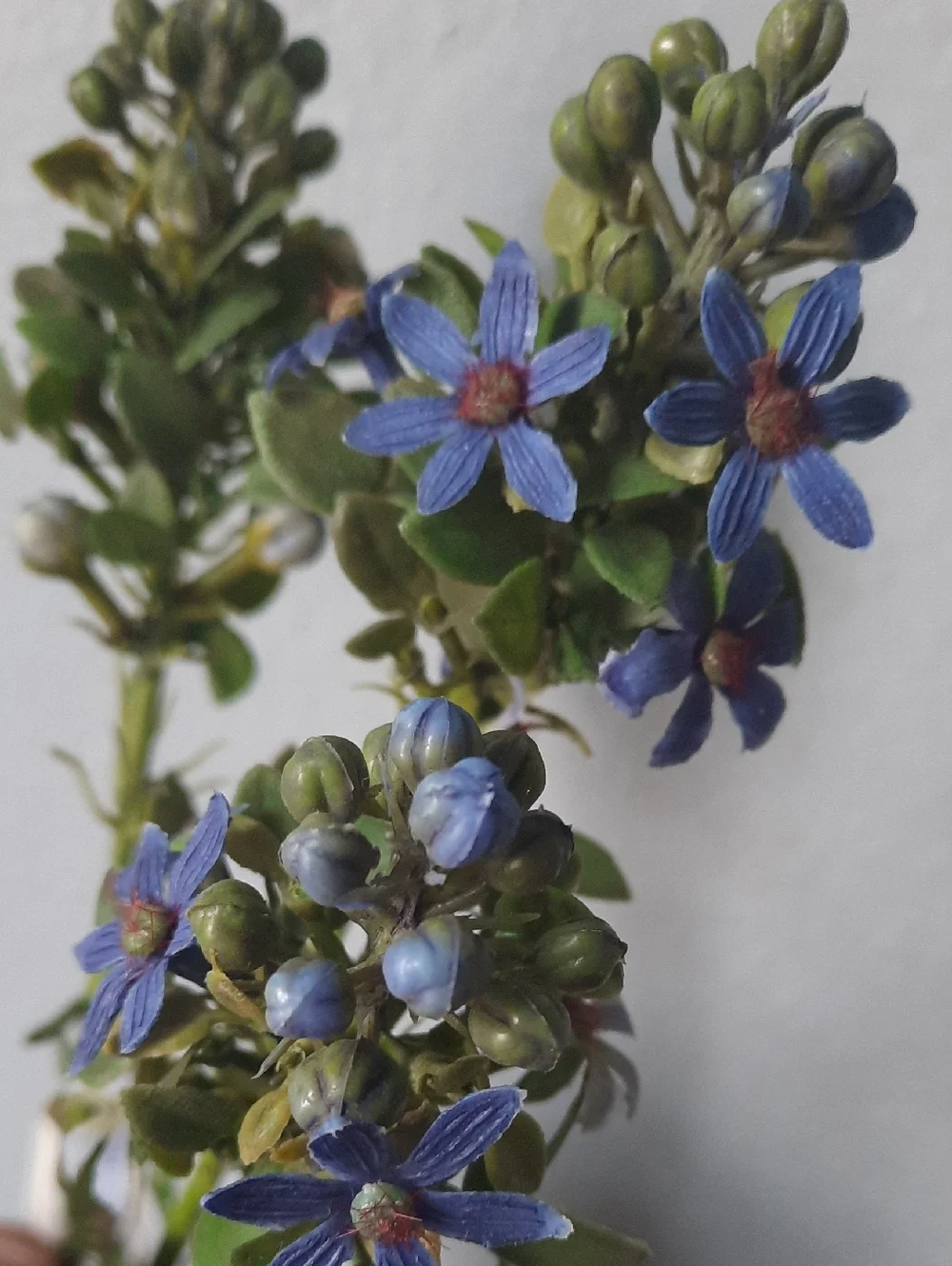 Blue Floral Cosmos Stems Set 7 NWT - Home Accents Silk Artificial Flowers Wired